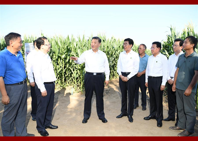 Xi Inspects Northeast China's Jilin Province